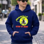 Seagulls Stop It Now Yoda Star Wars 2 Hoodie.jpg