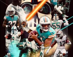 Star Wars Miami Dolphins Banner